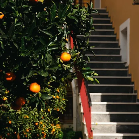 Levante Lägenhetshotell Benitses (Corfu)